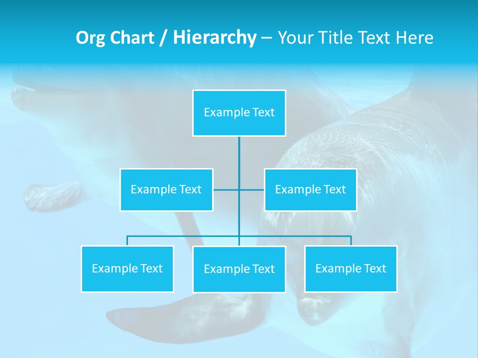 Togetherness Sealife Couple PowerPoint Template