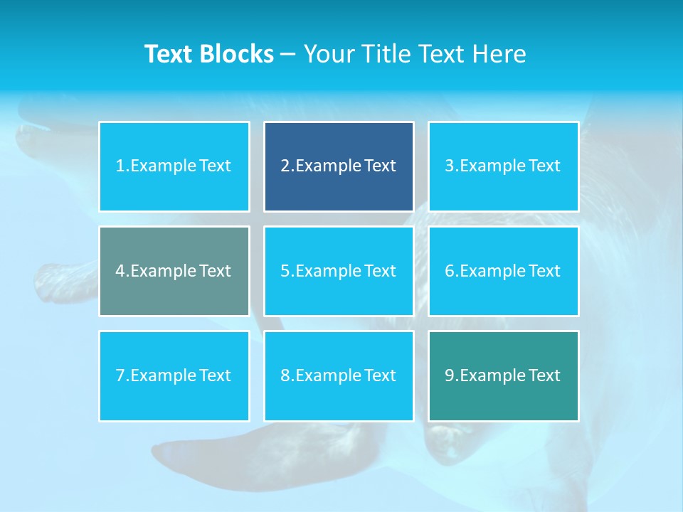 Togetherness Sealife Couple PowerPoint Template