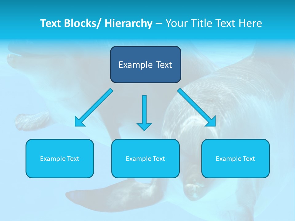 Togetherness Sealife Couple PowerPoint Template