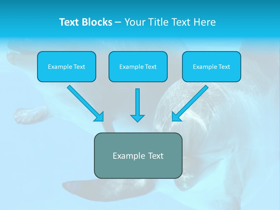 Togetherness Sealife Couple PowerPoint Template