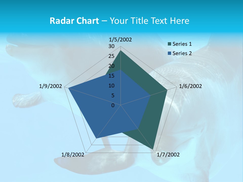 Togetherness Sealife Couple PowerPoint Template