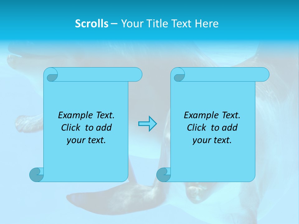 Togetherness Sealife Couple PowerPoint Template