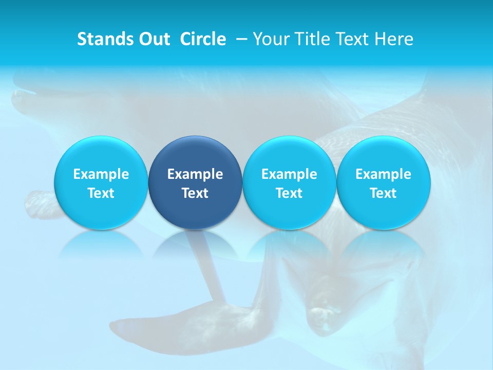 Togetherness Sealife Couple PowerPoint Template