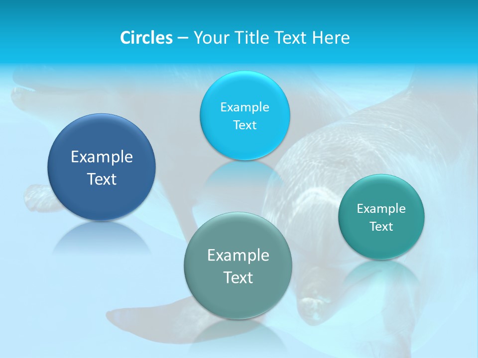 Togetherness Sealife Couple PowerPoint Template