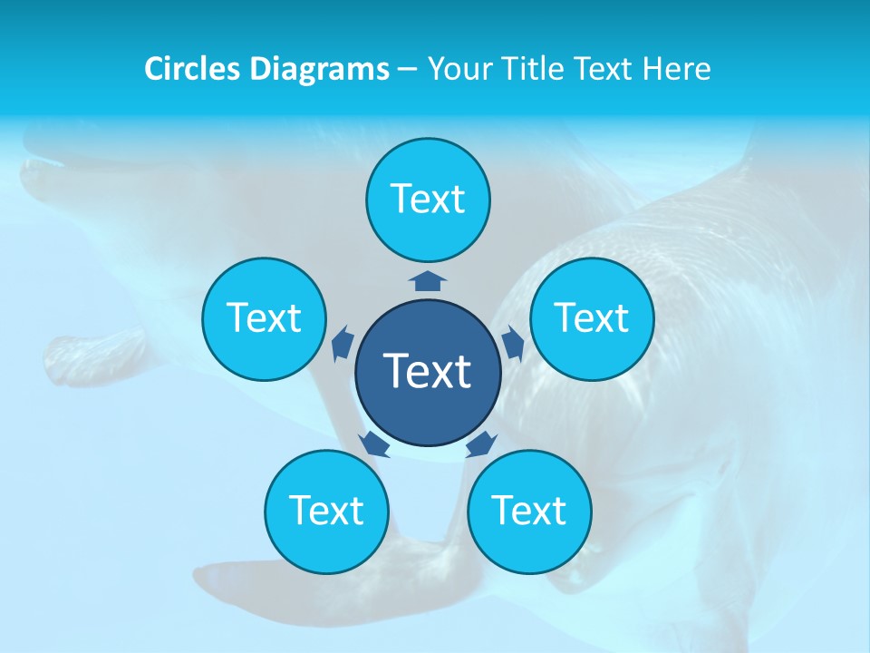 Togetherness Sealife Couple PowerPoint Template