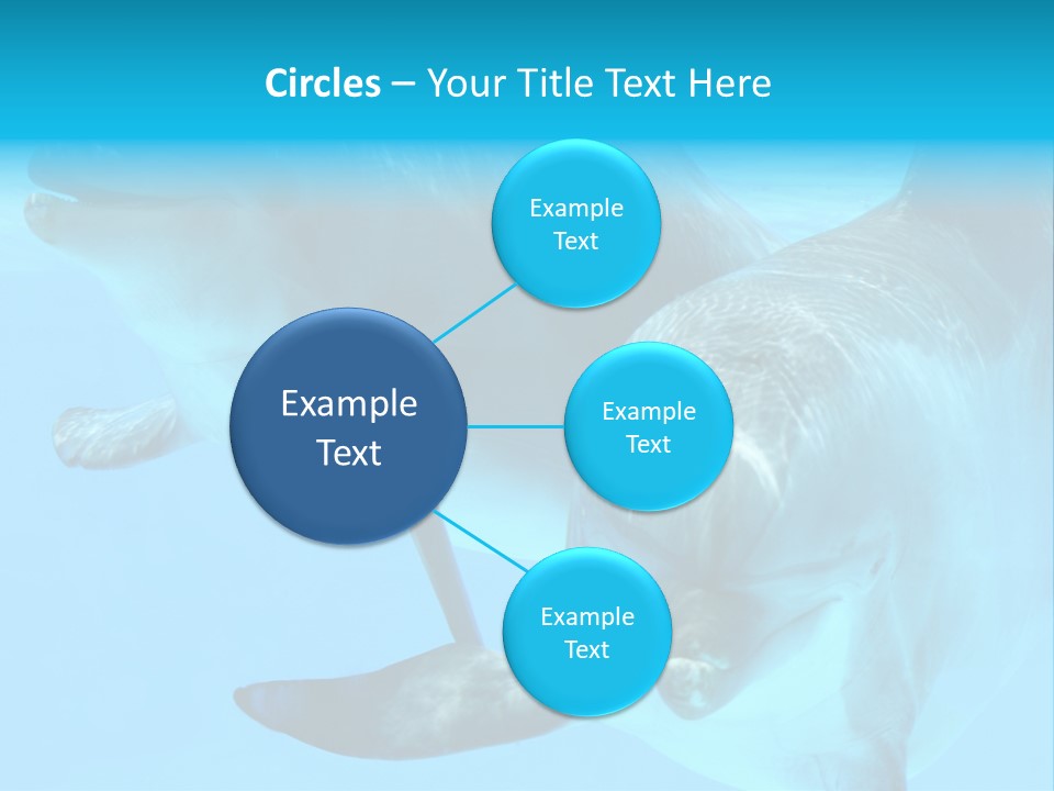 Togetherness Sealife Couple PowerPoint Template