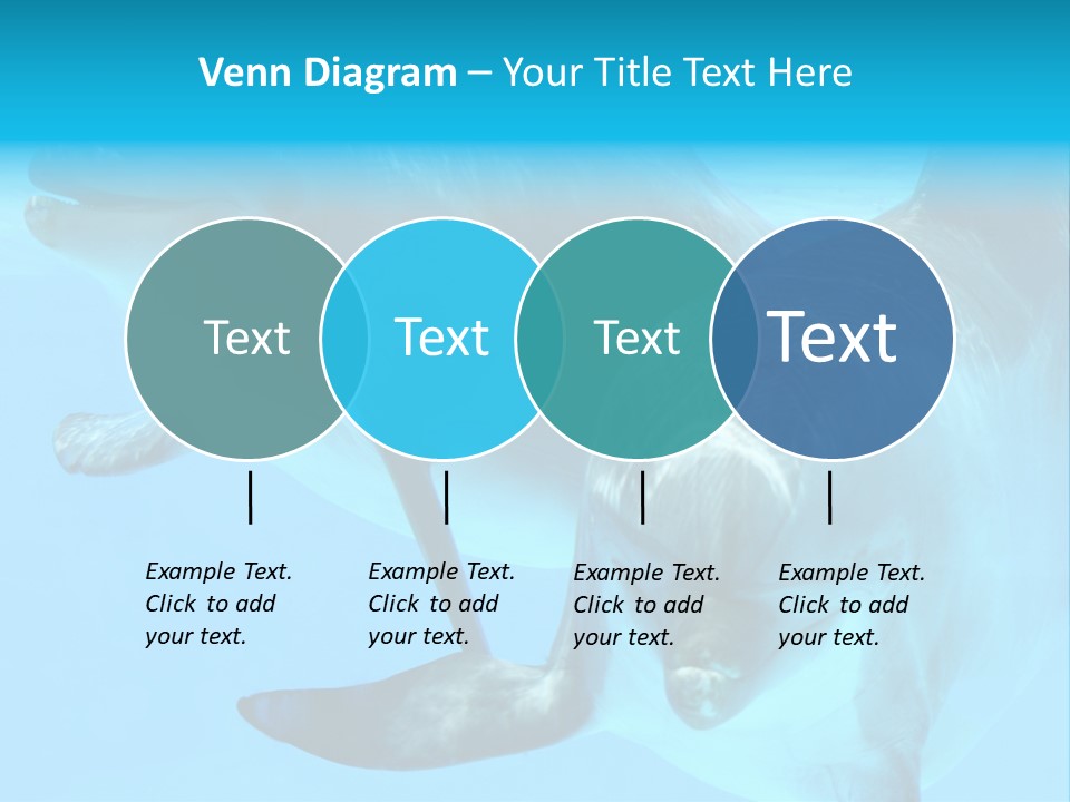 Togetherness Sealife Couple PowerPoint Template