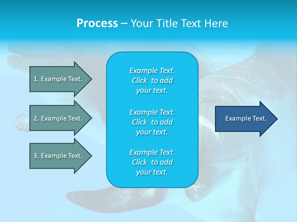Togetherness Sealife Couple PowerPoint Template
