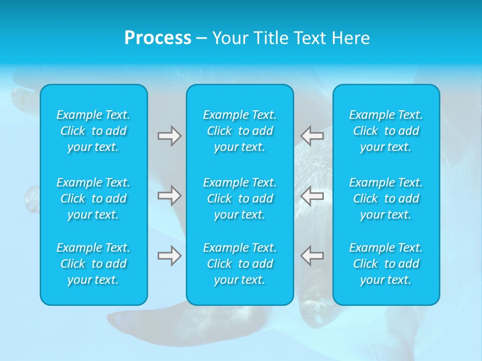 Togetherness Sealife Couple PowerPoint Template