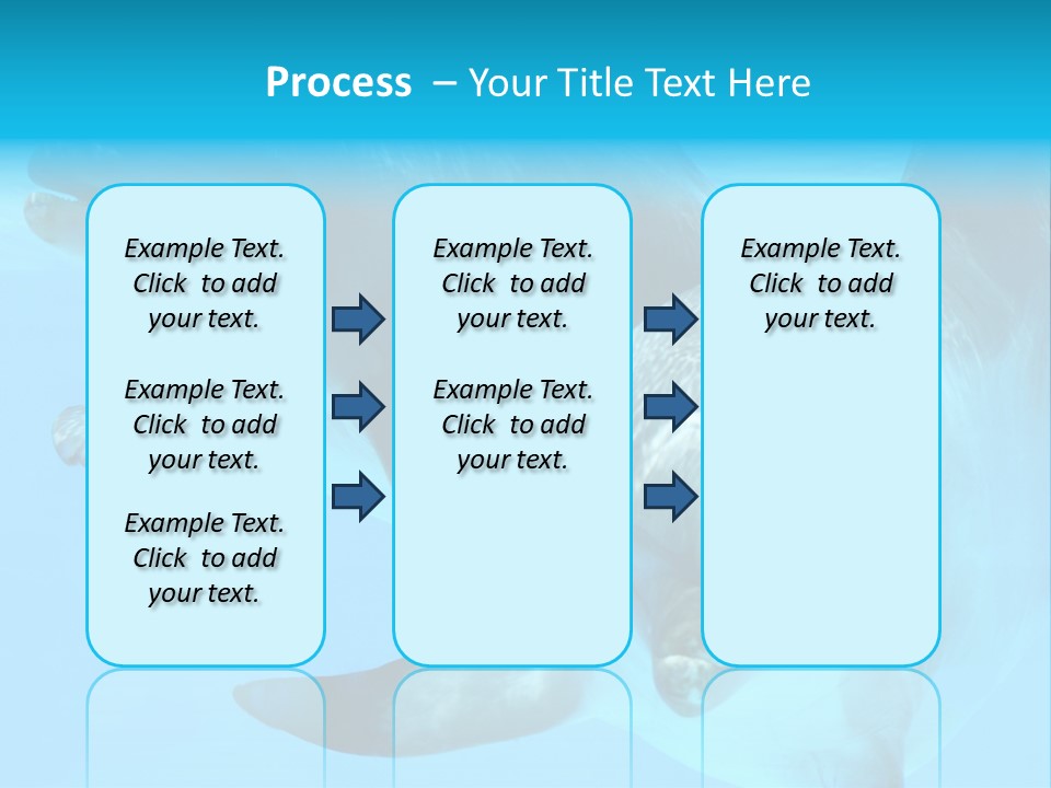 Togetherness Sealife Couple PowerPoint Template