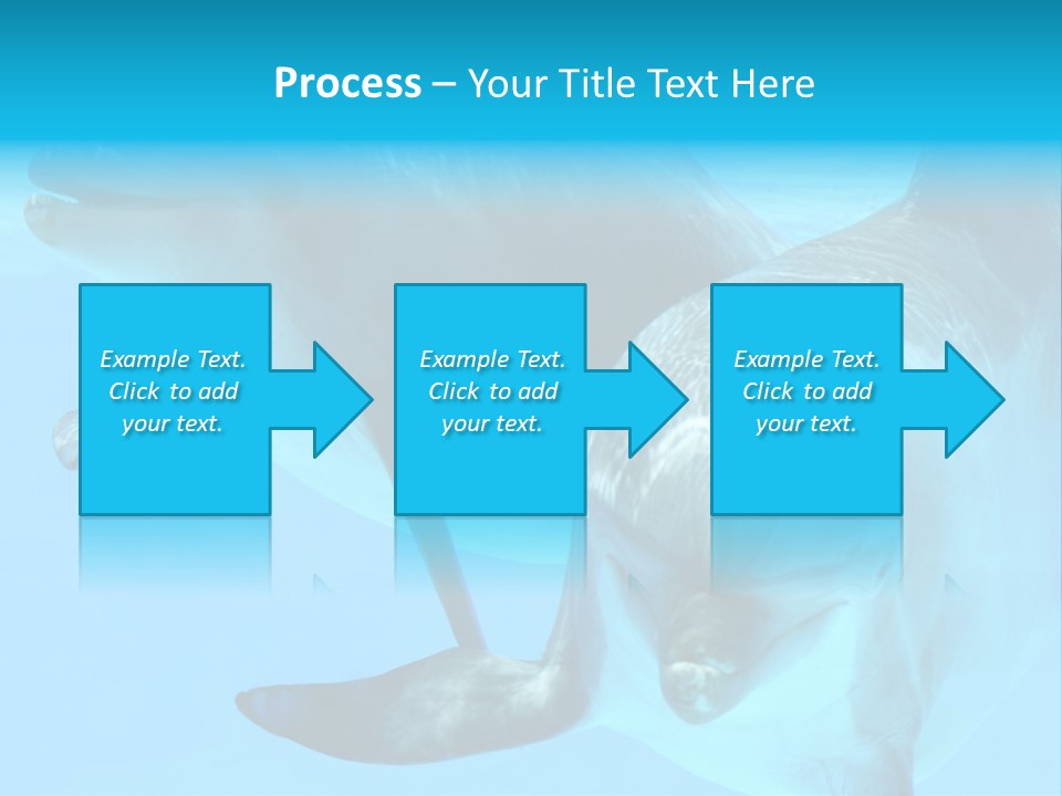 Togetherness Sealife Couple PowerPoint Template