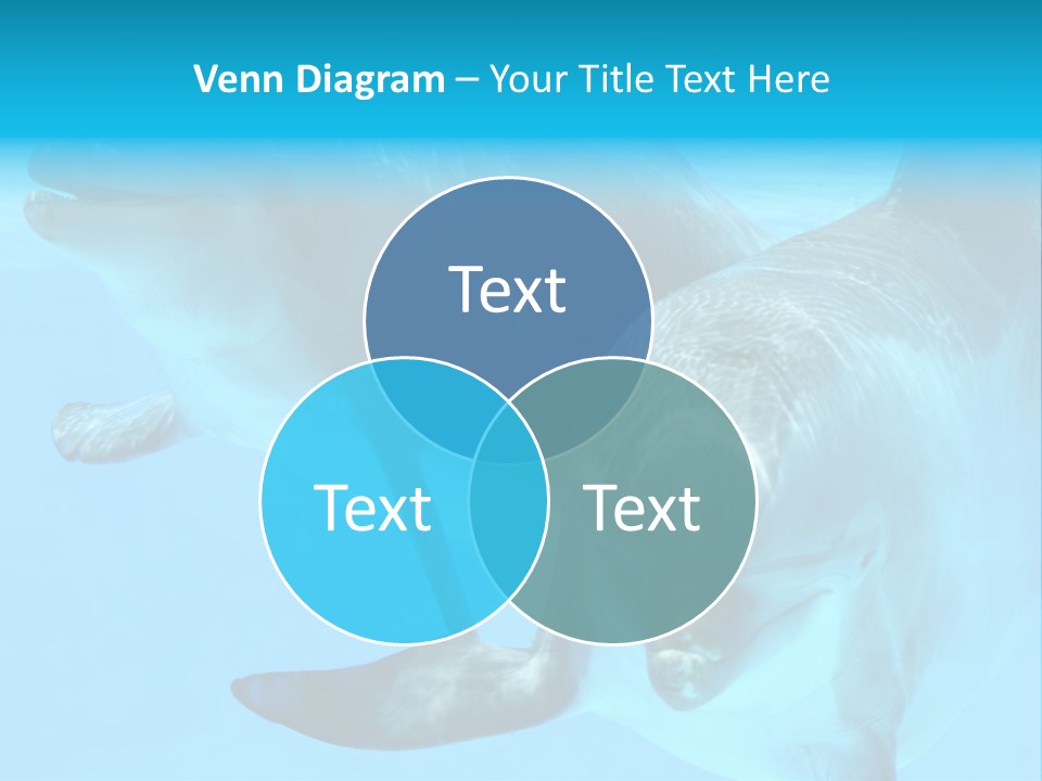 Togetherness Sealife Couple PowerPoint Template