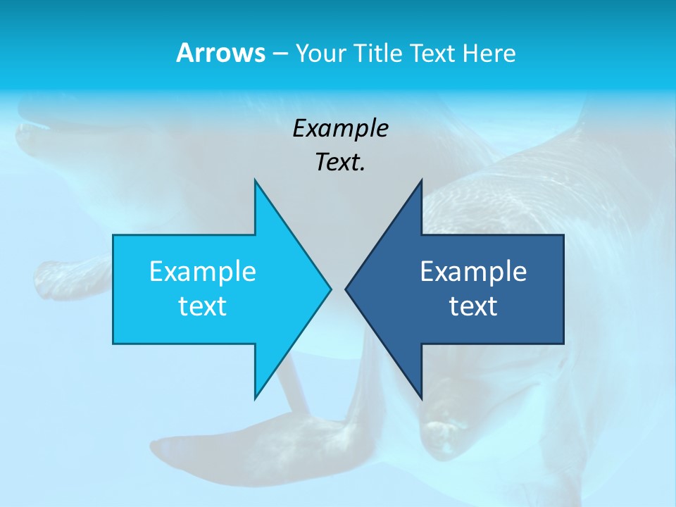 Togetherness Sealife Couple PowerPoint Template