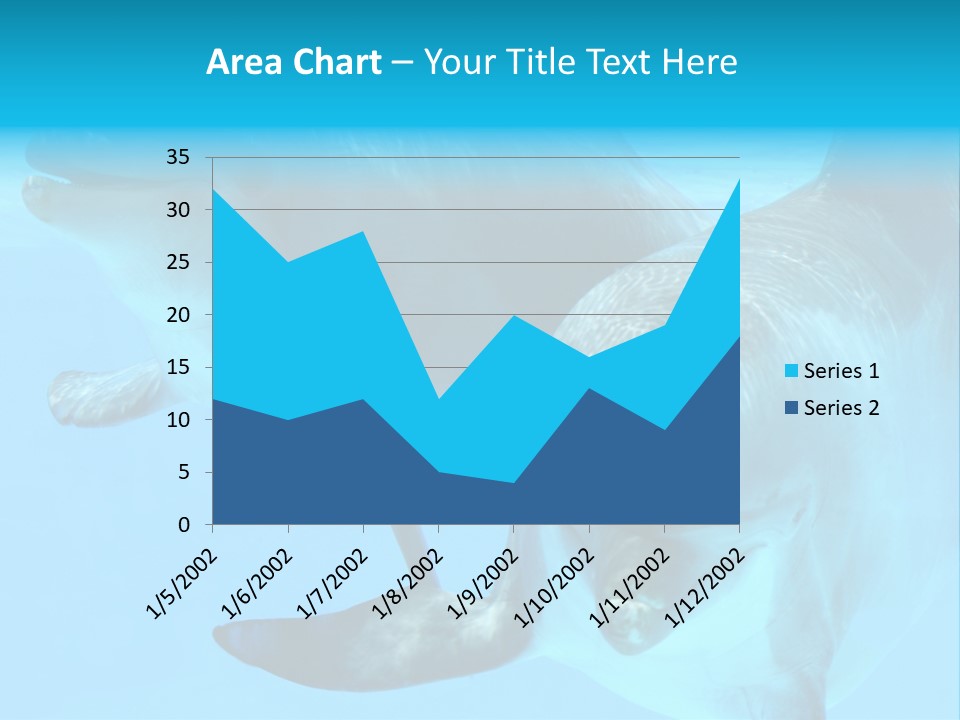 Togetherness Sealife Couple PowerPoint Template