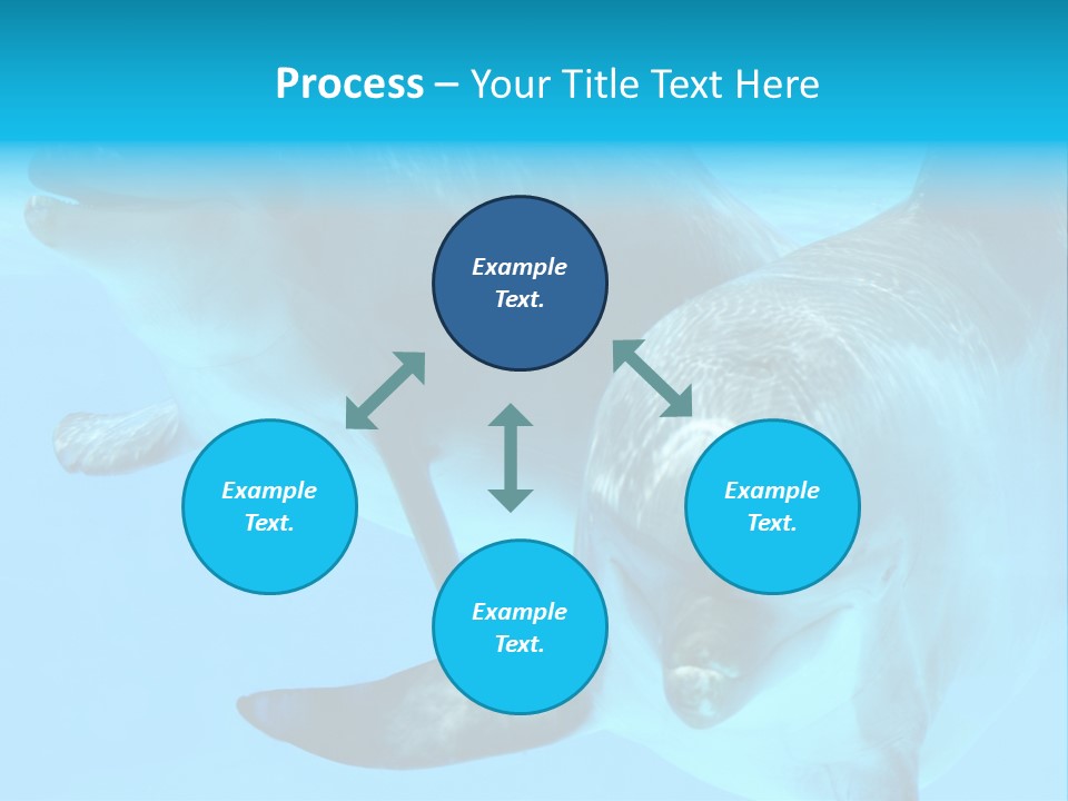 Togetherness Sealife Couple PowerPoint Template