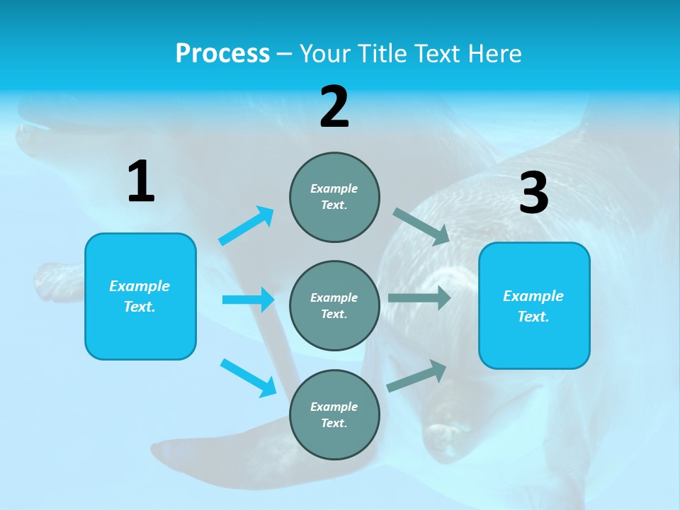 Togetherness Sealife Couple PowerPoint Template