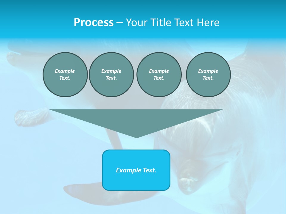 Togetherness Sealife Couple PowerPoint Template