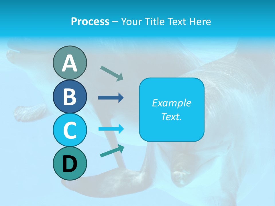 Togetherness Sealife Couple PowerPoint Template