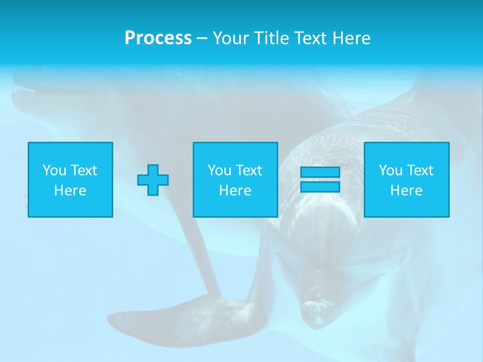 Togetherness Sealife Couple PowerPoint Template