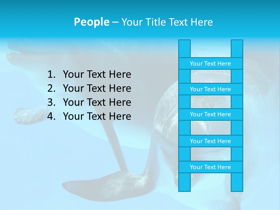 Togetherness Sealife Couple PowerPoint Template