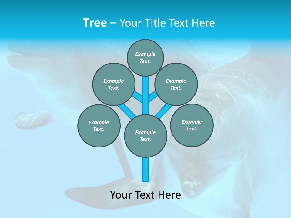 Togetherness Sealife Couple PowerPoint Template