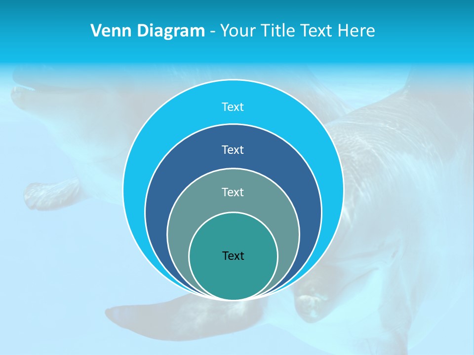 Togetherness Sealife Couple PowerPoint Template