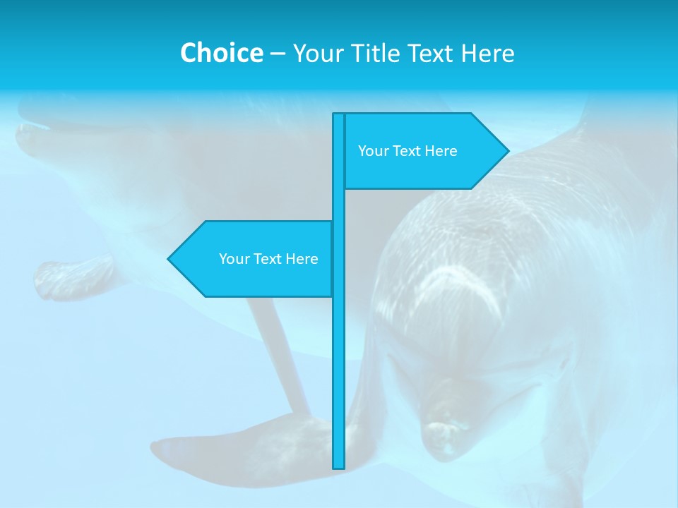 Togetherness Sealife Couple PowerPoint Template