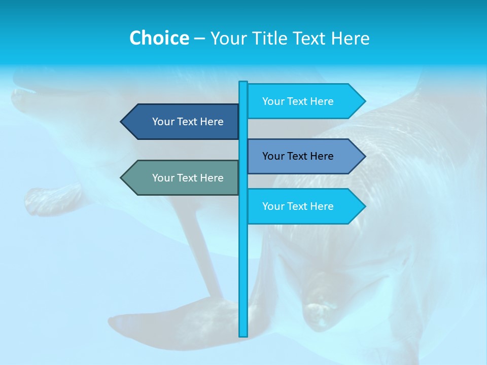 Togetherness Sealife Couple PowerPoint Template