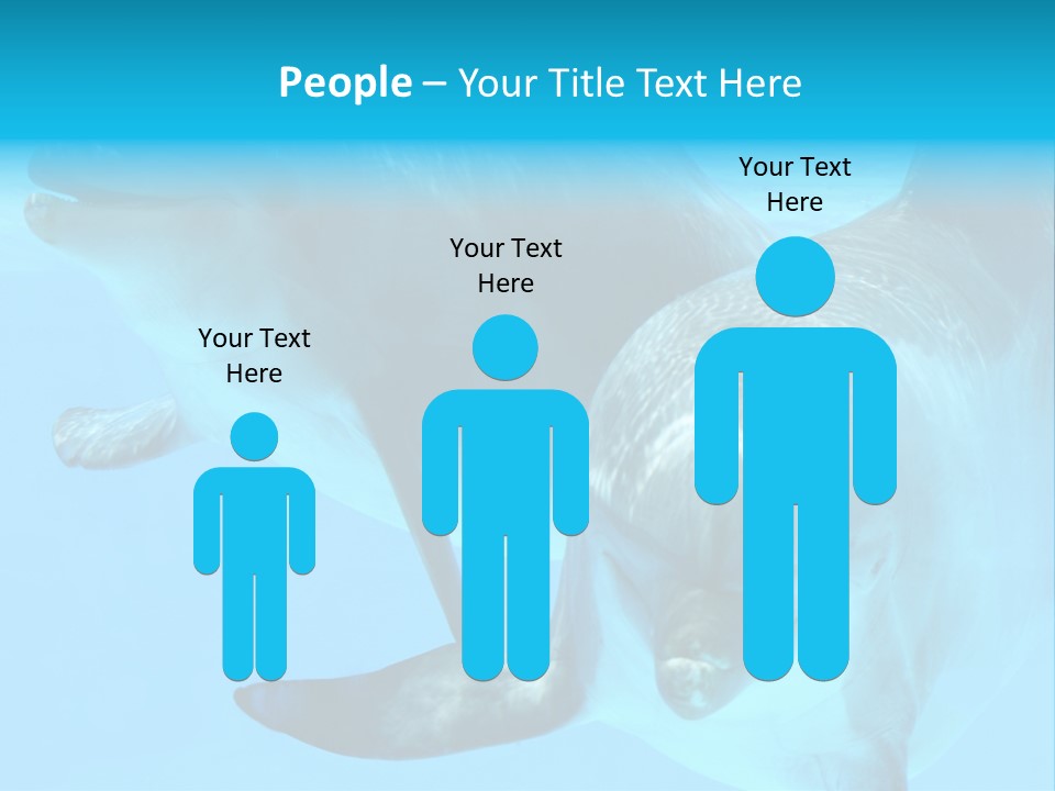 Togetherness Sealife Couple PowerPoint Template