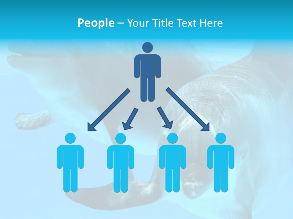 Togetherness Sealife Couple PowerPoint Template