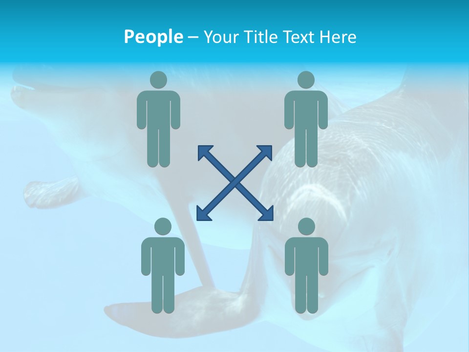 Togetherness Sealife Couple PowerPoint Template