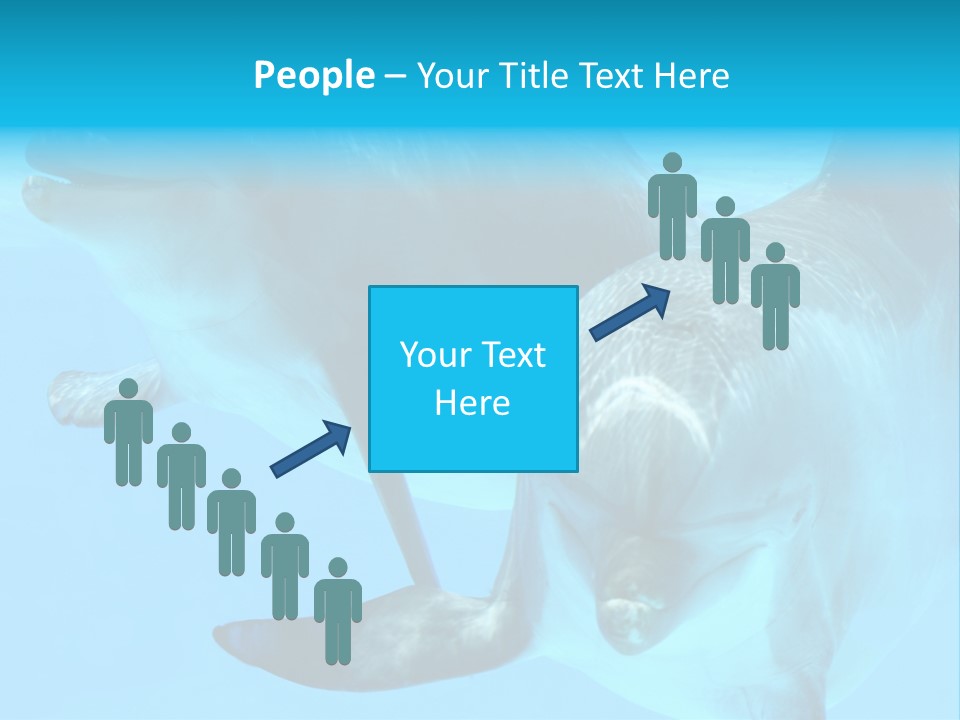 Togetherness Sealife Couple PowerPoint Template