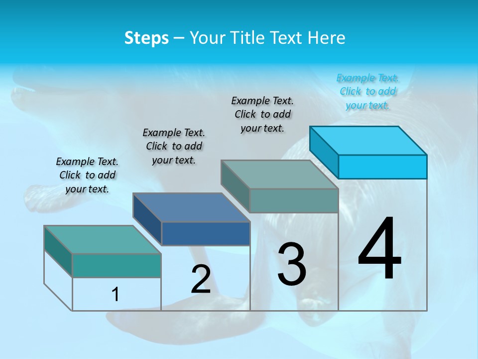 Togetherness Sealife Couple PowerPoint Template