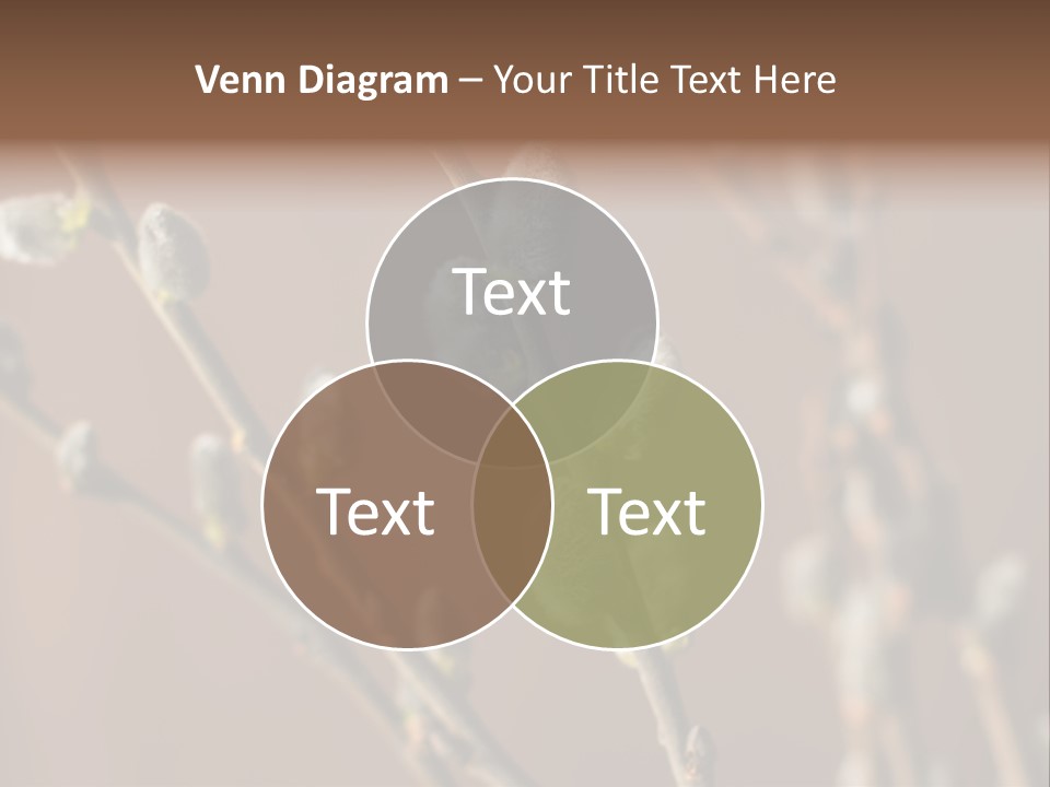 Season Blooming Flower PowerPoint Template