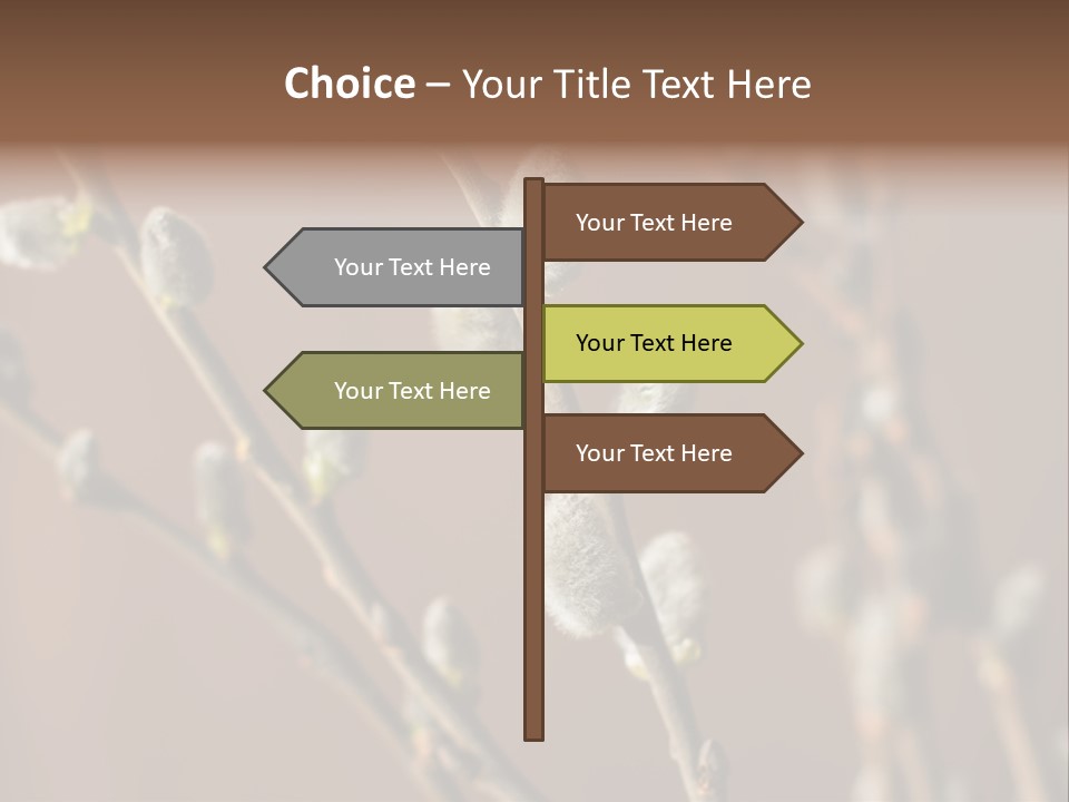 Season Blooming Flower PowerPoint Template