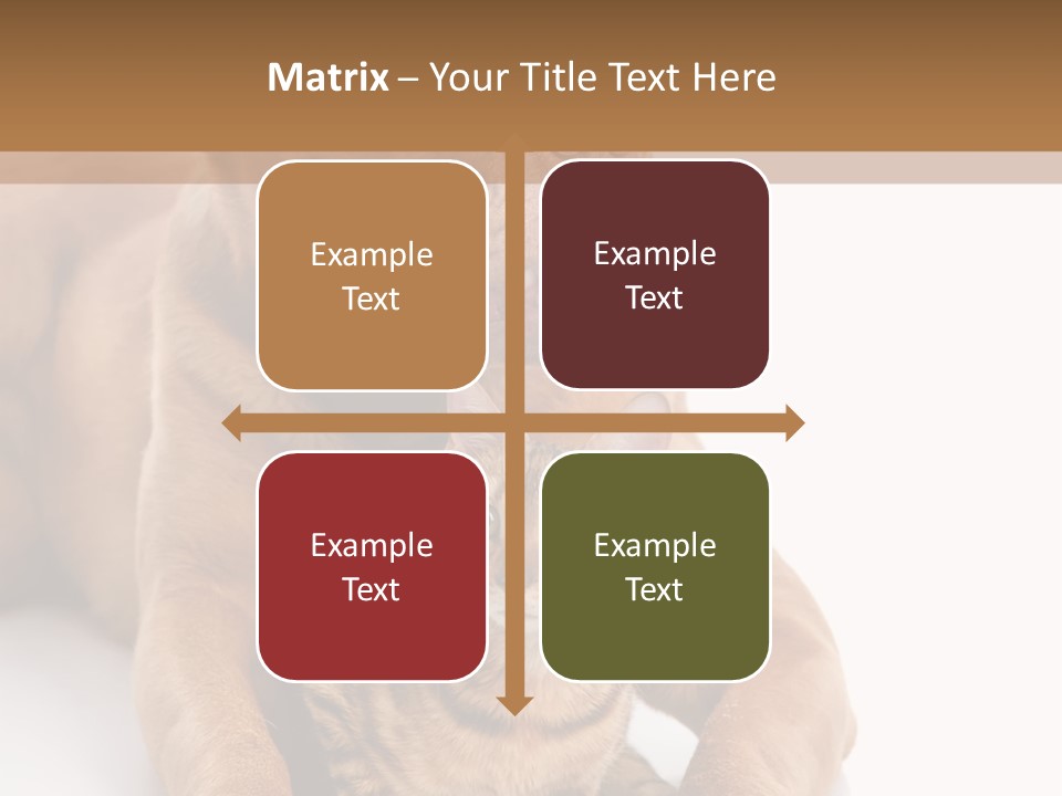 Feline Relations White PowerPoint Template