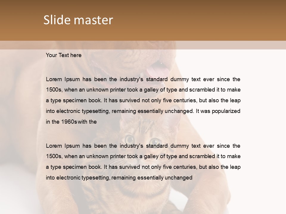 Feline Relations White PowerPoint Template