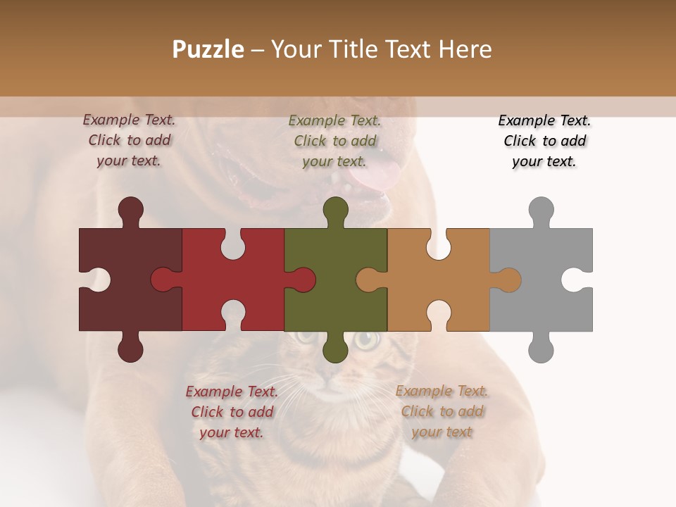Feline Relations White PowerPoint Template