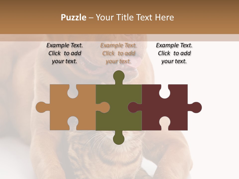 Feline Relations White PowerPoint Template