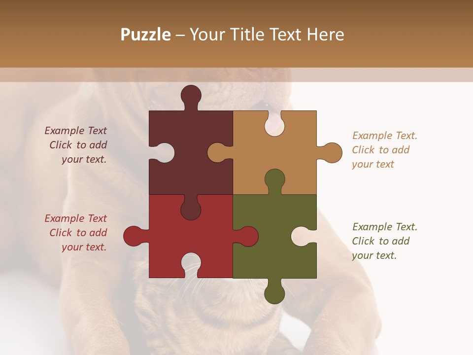 Feline Relations White PowerPoint Template