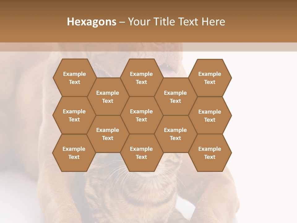 Feline Relations White PowerPoint Template