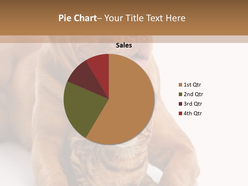 Feline Relations White PowerPoint Template