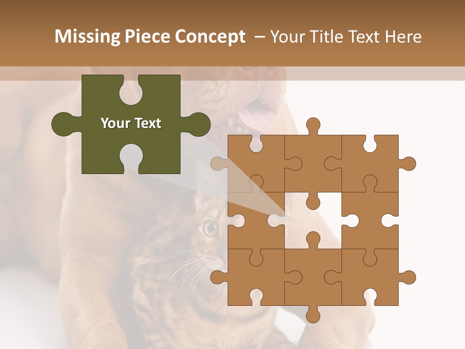 Feline Relations White PowerPoint Template