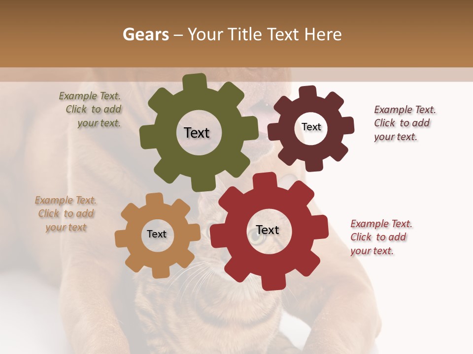 Feline Relations White PowerPoint Template
