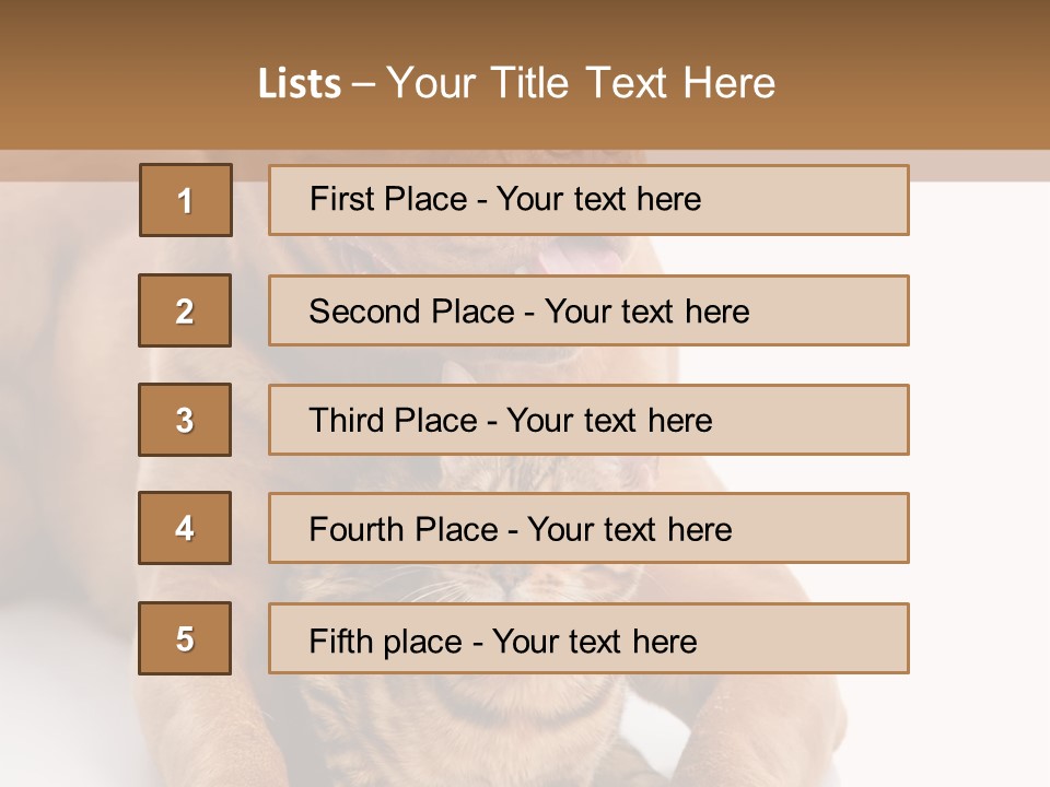 Feline Relations White PowerPoint Template