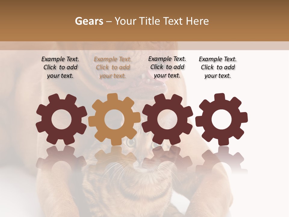 Feline Relations White PowerPoint Template
