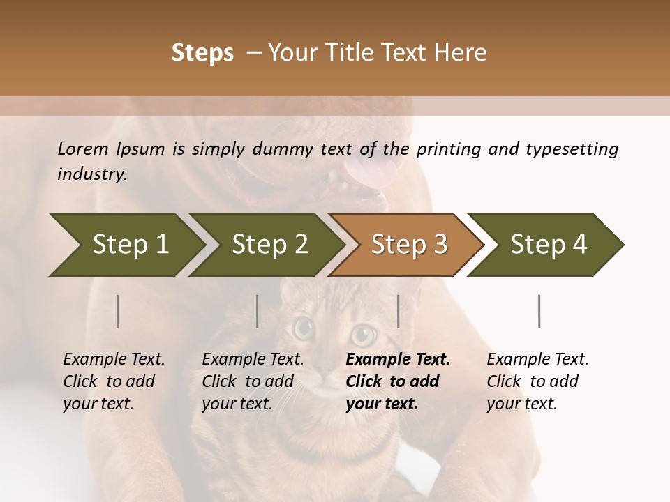Feline Relations White PowerPoint Template