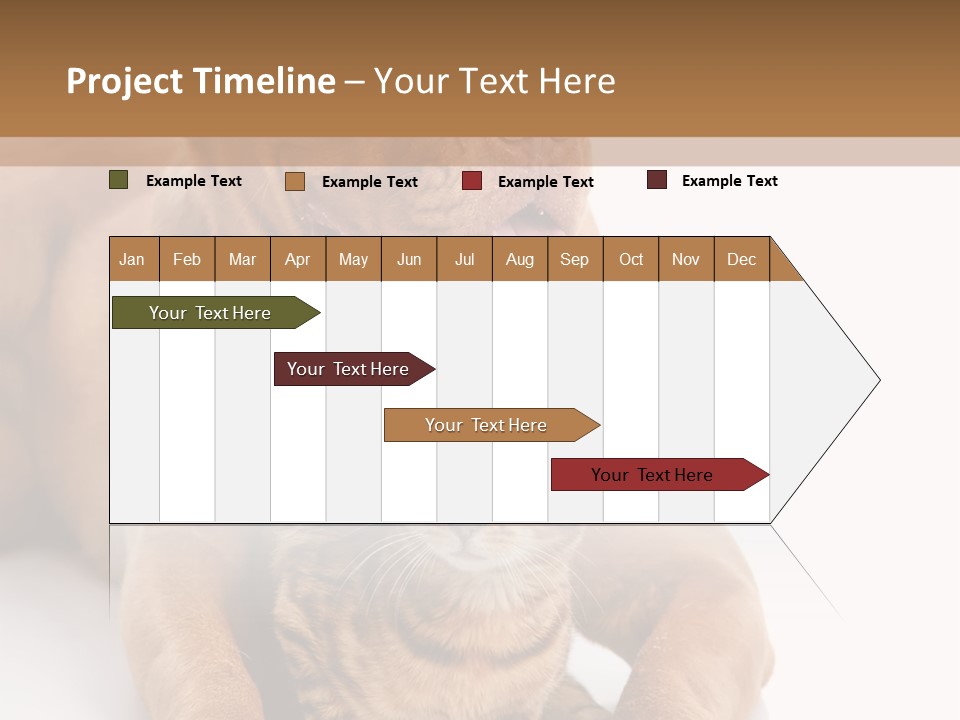 Feline Relations White PowerPoint Template