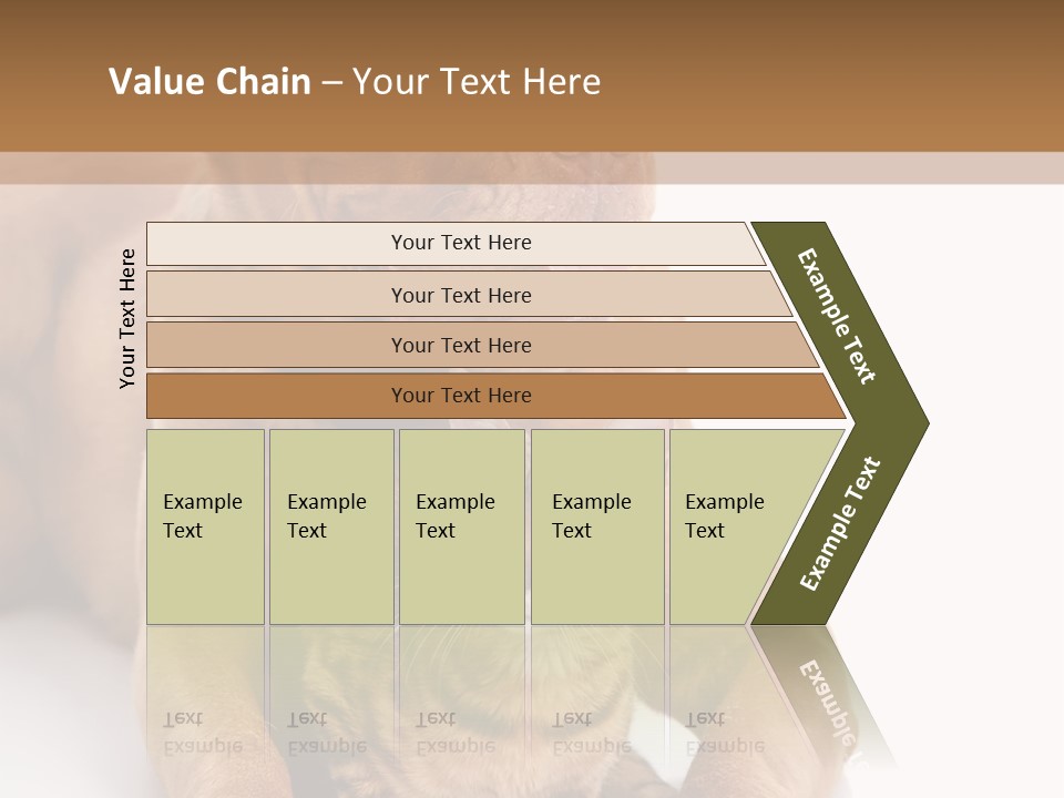 Feline Relations White PowerPoint Template