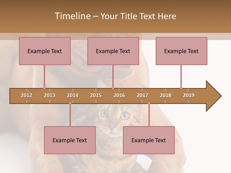 Feline Relations White PowerPoint Template